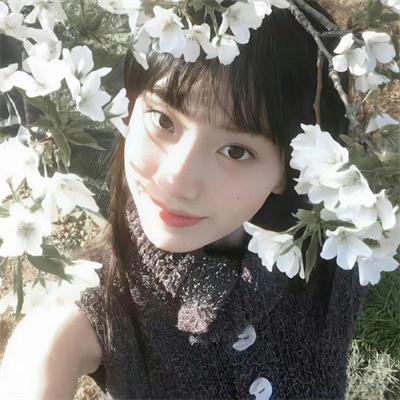 内阁作战室 第一季