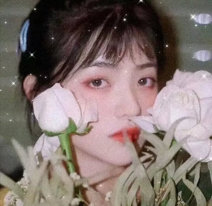 我的朋友是萌鲨